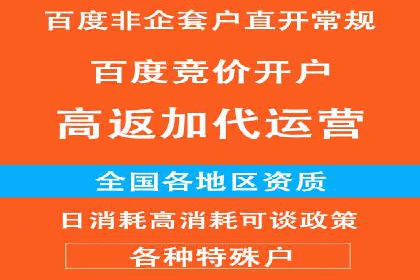 案例解析：SEM助力电商行业快速发展